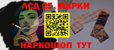 ALPHA PVP Моздок
