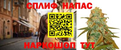 ALPHA PVP Моздок