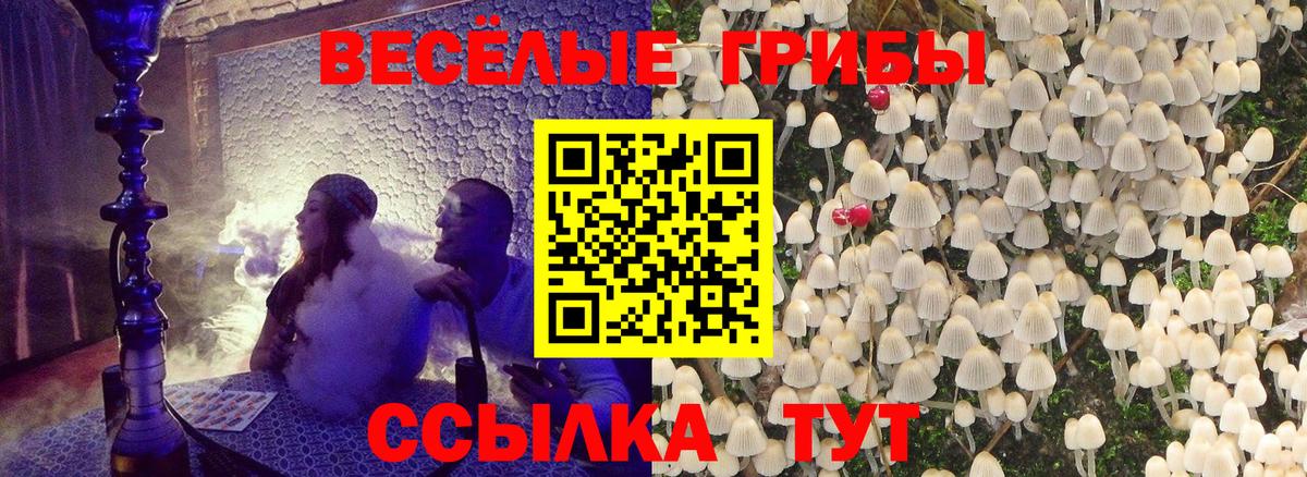 Кинешма  Галлюциногенные грибы Cubensis  Галлюциногенные грибы Psilocybine cubensis  Вход с VPN 